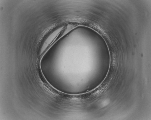 X0000060580637200511241342