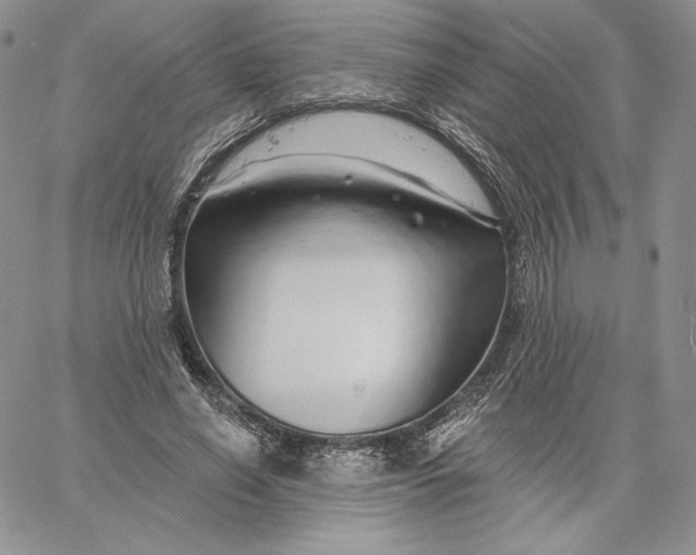 X0000060580638200511241342