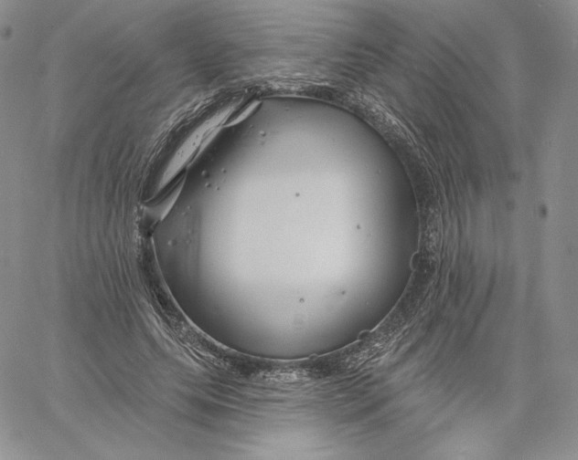 X0000060580639200511241342