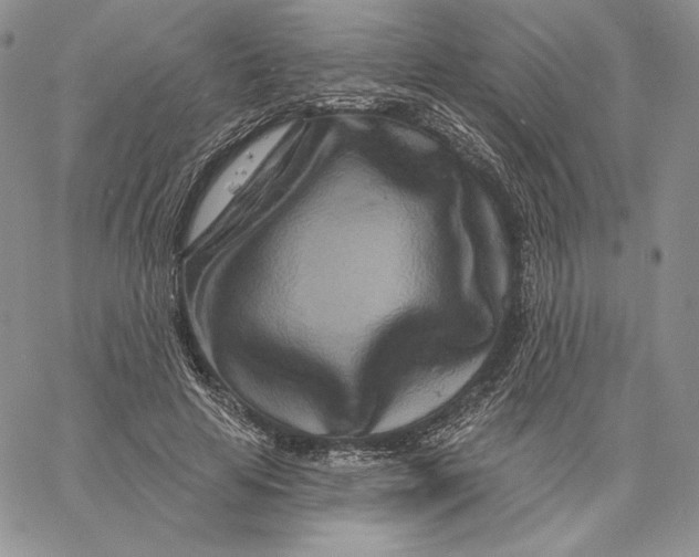 X0000060580641200511241342