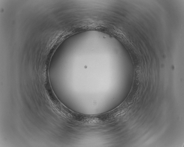 X0000060580642200511241342