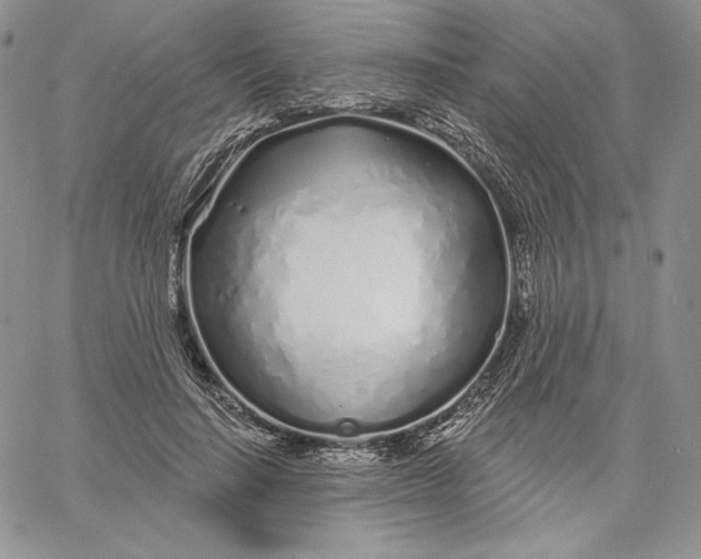 X0000060580644200511241342