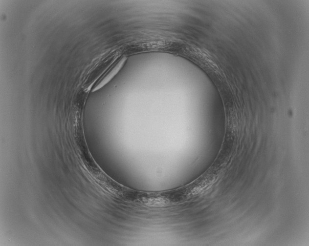 X0000060580645200511241342