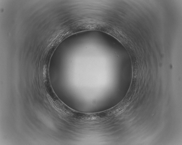 X0000060580646200511241342