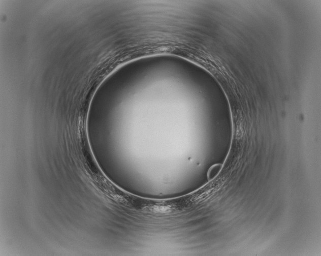 X0000060580647200511241342