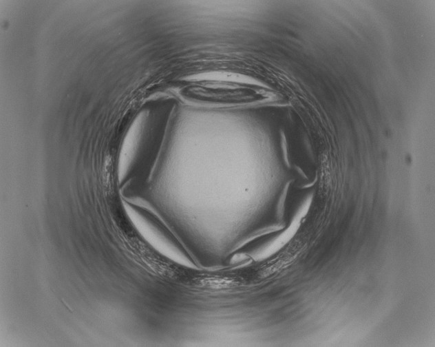 X0000060580650200511241342