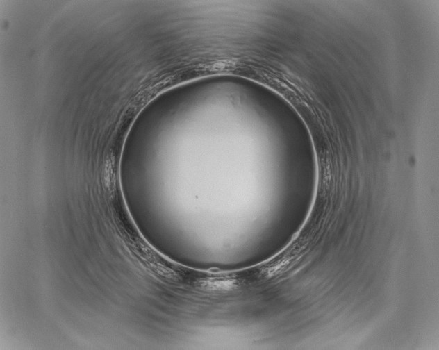 X0000060580651200511241342