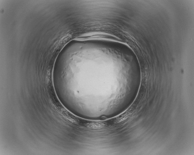 X0000060580652200511241342