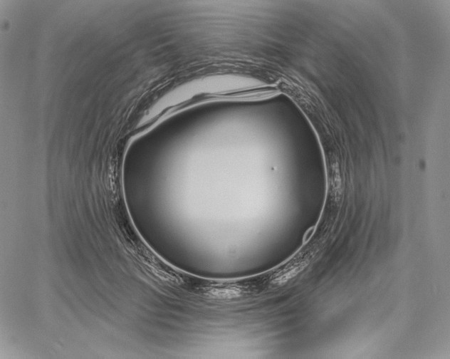 X0000060580653200511241342