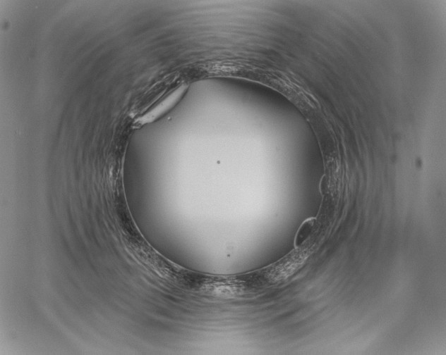 X0000060580655200511241342