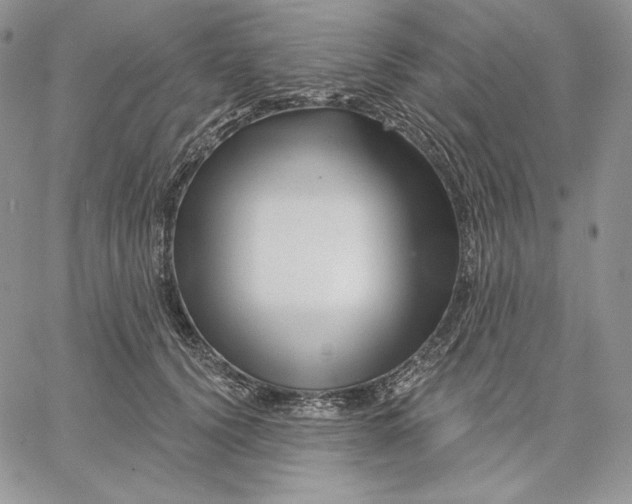 X0000060580656200511241342