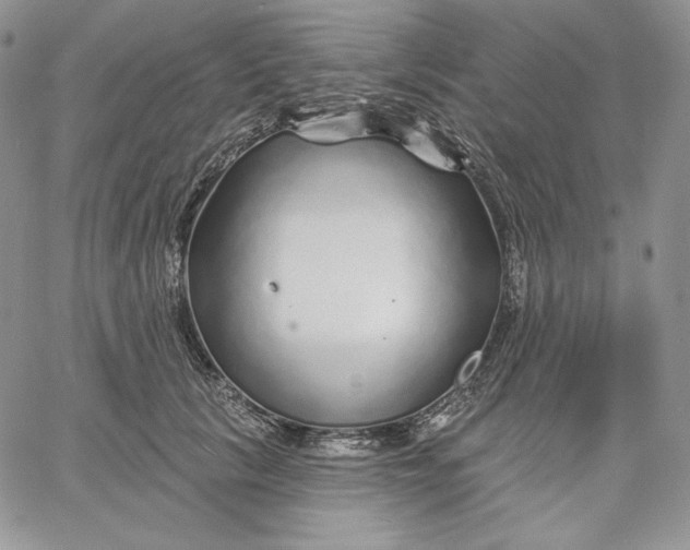 X0000060580657200511241342