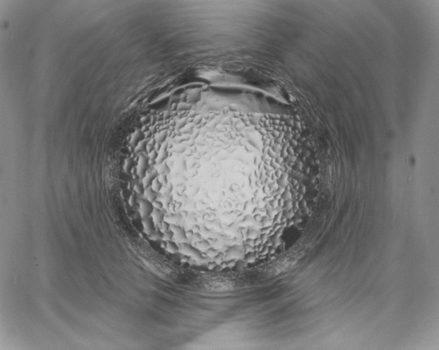 X0000060580658200511241342