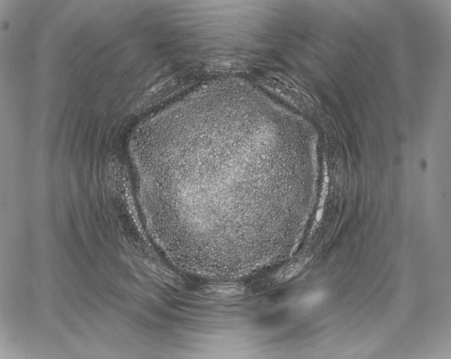 X0000060580659200511241342