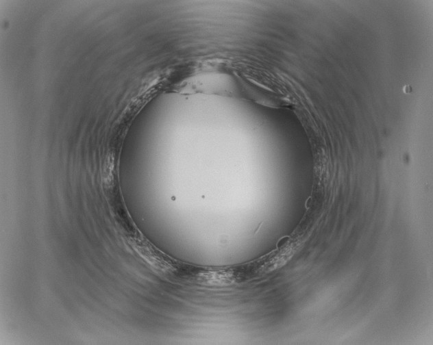 X0000060580660200511241342