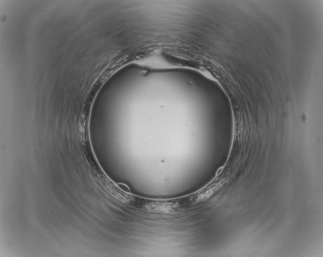 X0000060580661200511241342