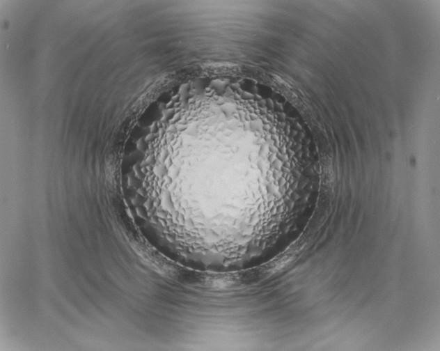 X0000060580662200511241342