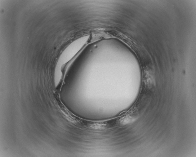 X0000060580664200511241342