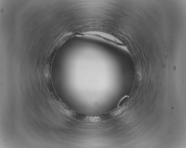 X0000060580665200511241342