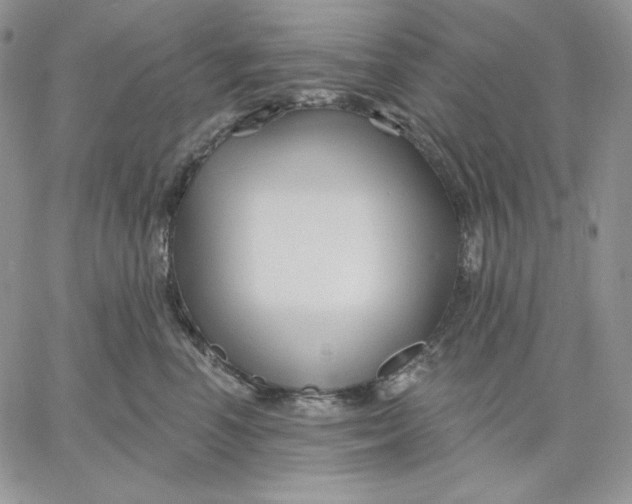 X0000060580666200511241342