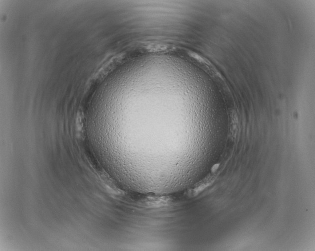 X0000060580667200511241342