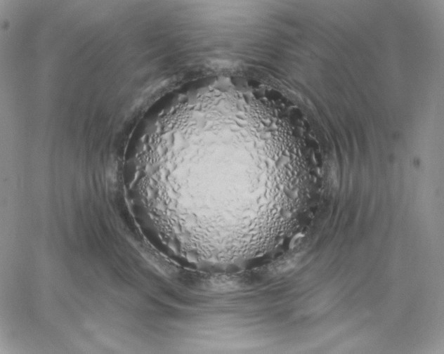 X0000060580668200511241342