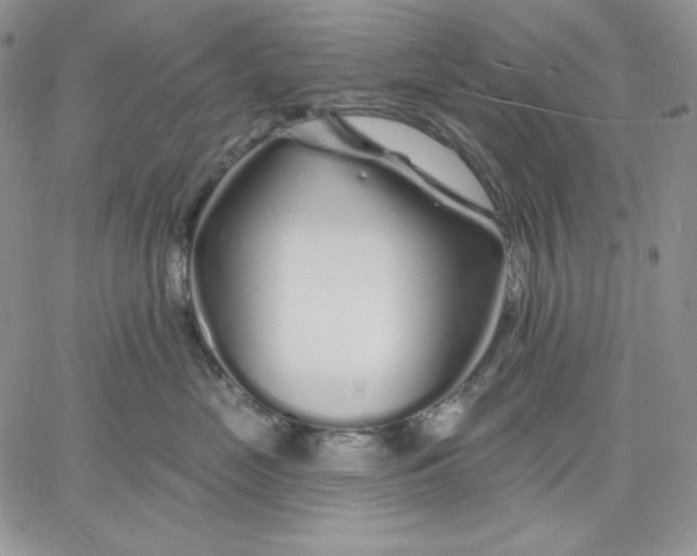 X0000060580669200511241342