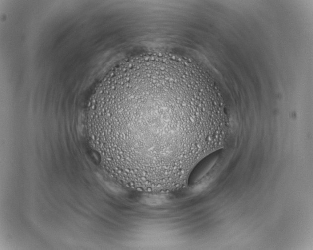 X0000060580671200511241343