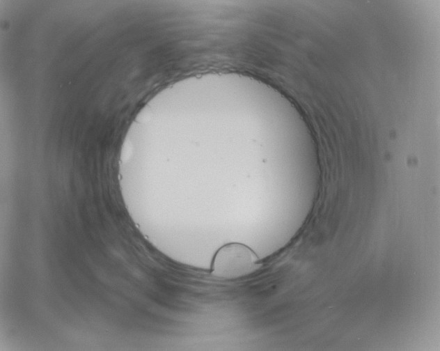 X0000060580672200511241343