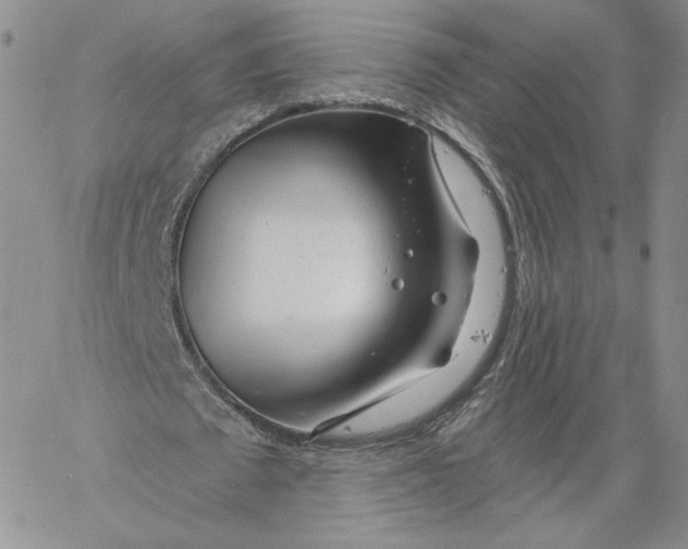 X0000060580673200511241342