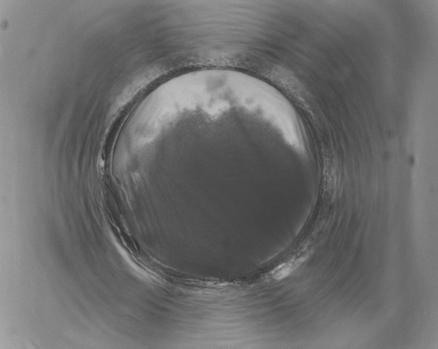 X0000060580674200511241342