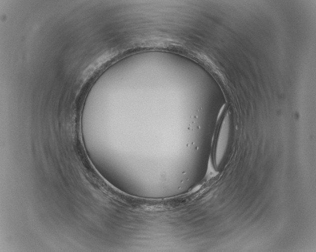 X0000060580675200511241342