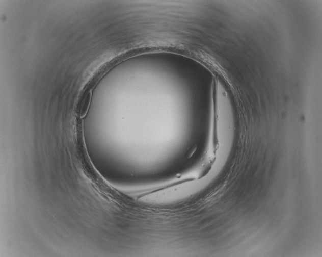 X0000060580676200511241342