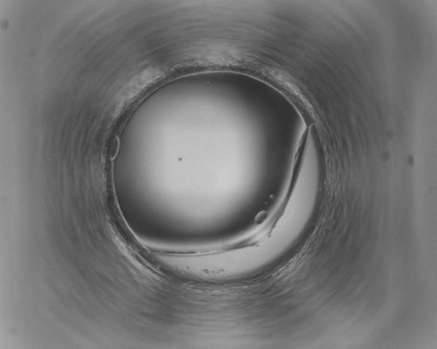 X0000060580677200511241342