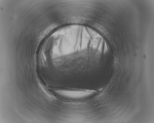 X0000060580678200511241342