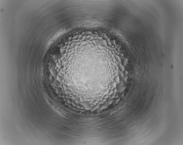 X0000060580679200511241342