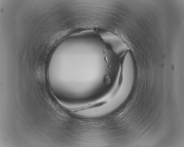 X0000060580681200511241342