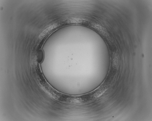 X0000060580683200511241342