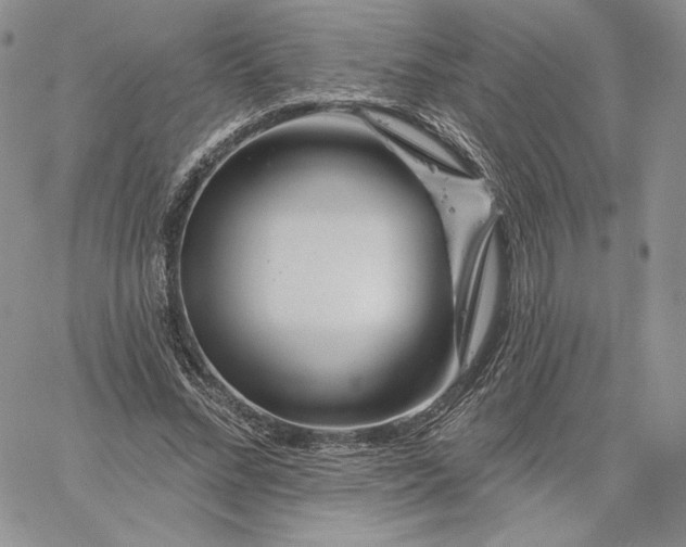 X0000060580684200511241342