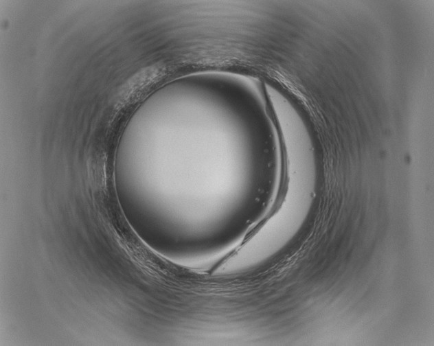 X0000060580685200511241342