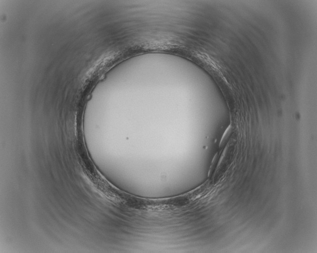 X0000060580686200511241342