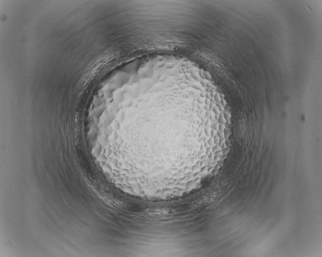 X0000060580687200511241342