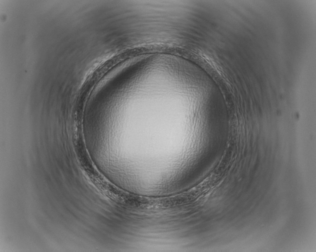 X0000060580688200511241342