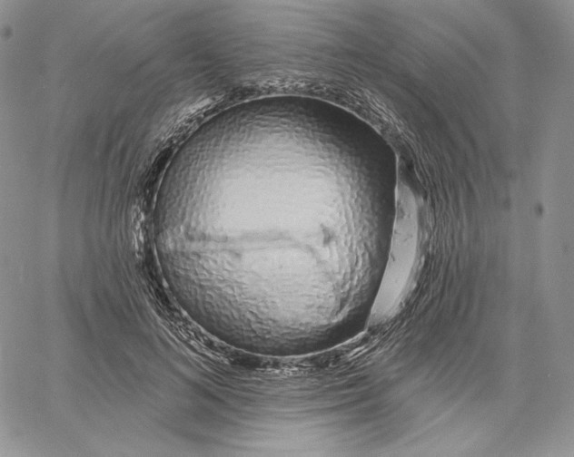 X0000060580692200511241341