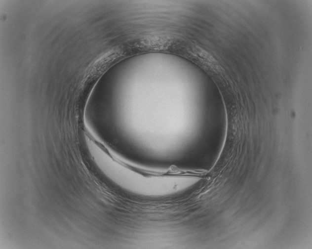 X0000060580693200511241341