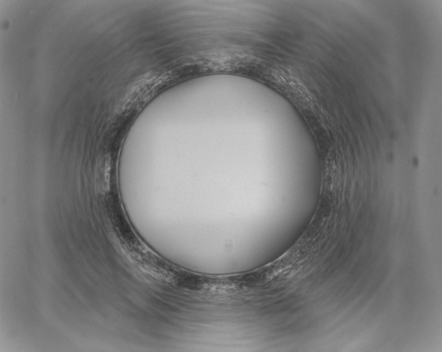 X0000060580694200511241341