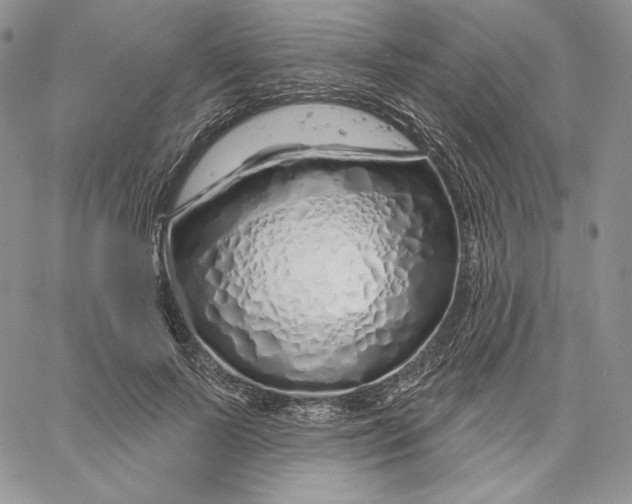 X0000060580695200511241341