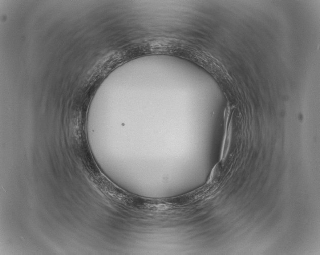 X0000060580698200511241341