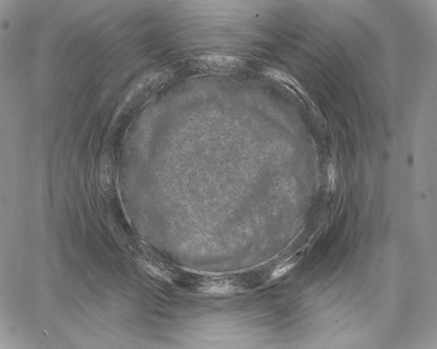 X0000060580701200511241341