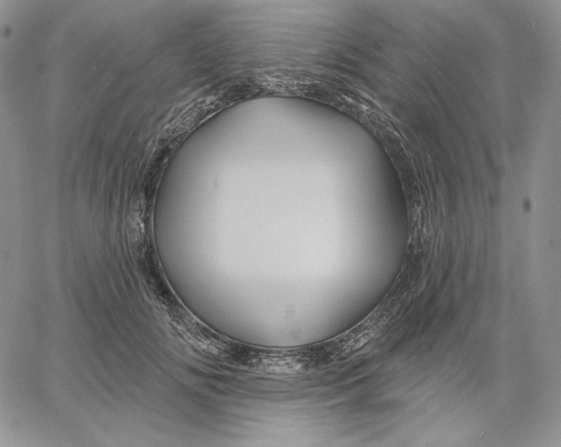 X0000060580702200511241341